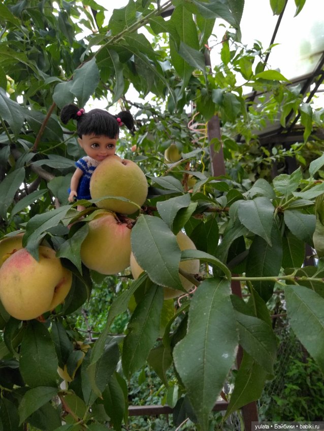 Наша Бусинка — Мини (фото 4)