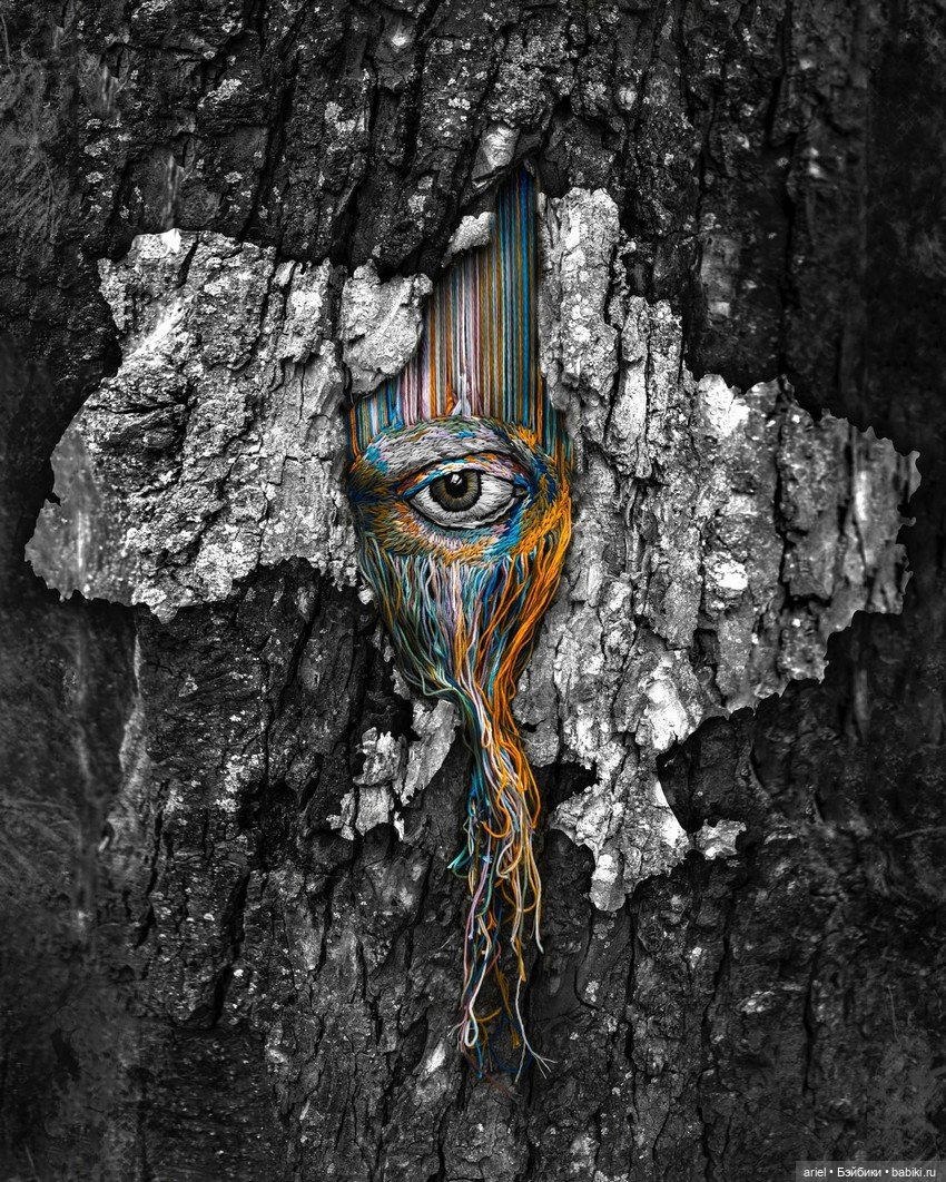 Необычные работы Дианы Евтух (фото 3)