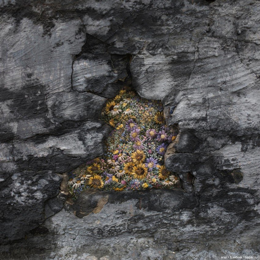 Необычные работы Дианы Евтух (фото 5)