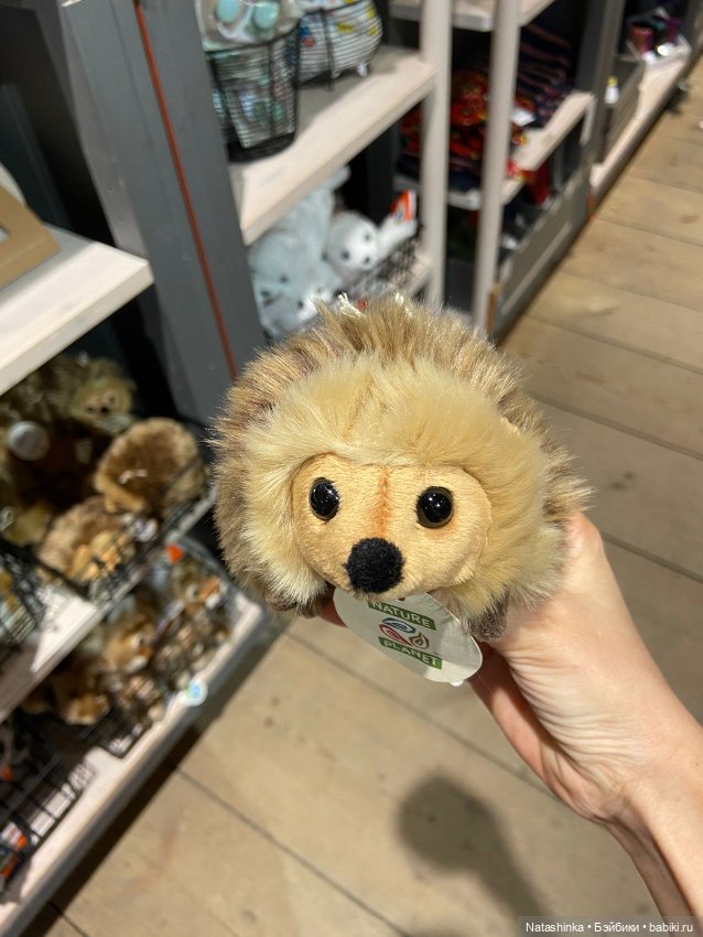 Fashion Dolls 405 — Туризм и путешествия: фотоотчеты из поездок (фото 2)