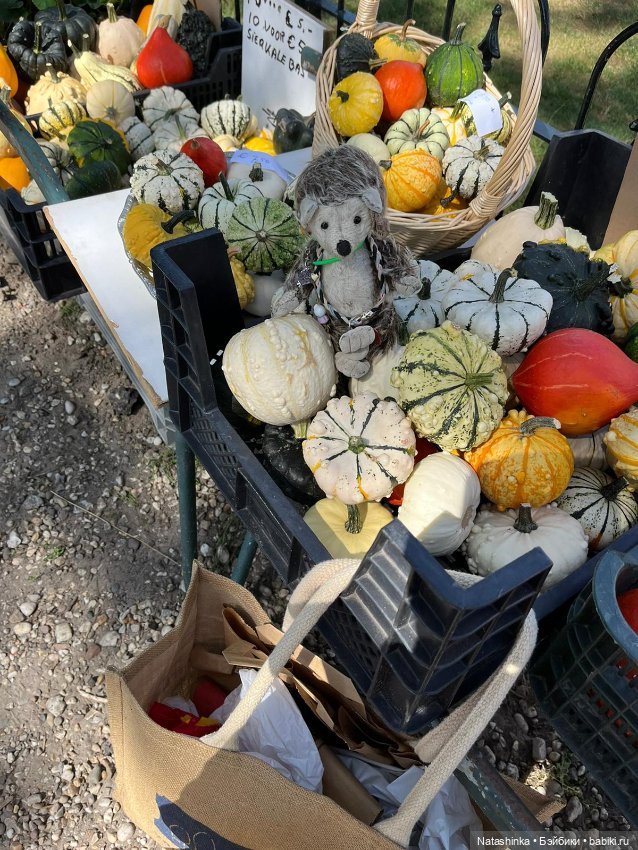 Fashion Dolls 405 — Туризм и путешествия: фотоотчеты из поездок (фото 4)