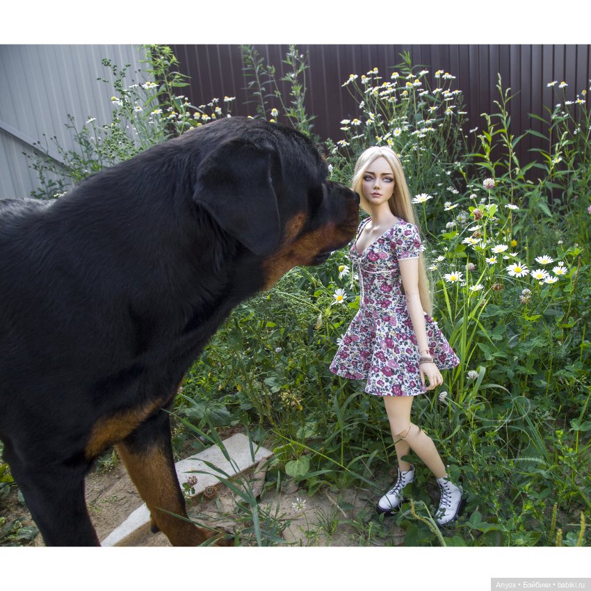 Цветочные платья и много фото на природе (фото 9)