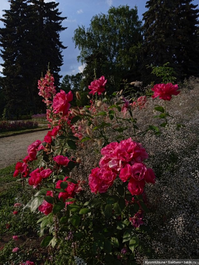 Земные каникулы мистера Спока (фото 8)