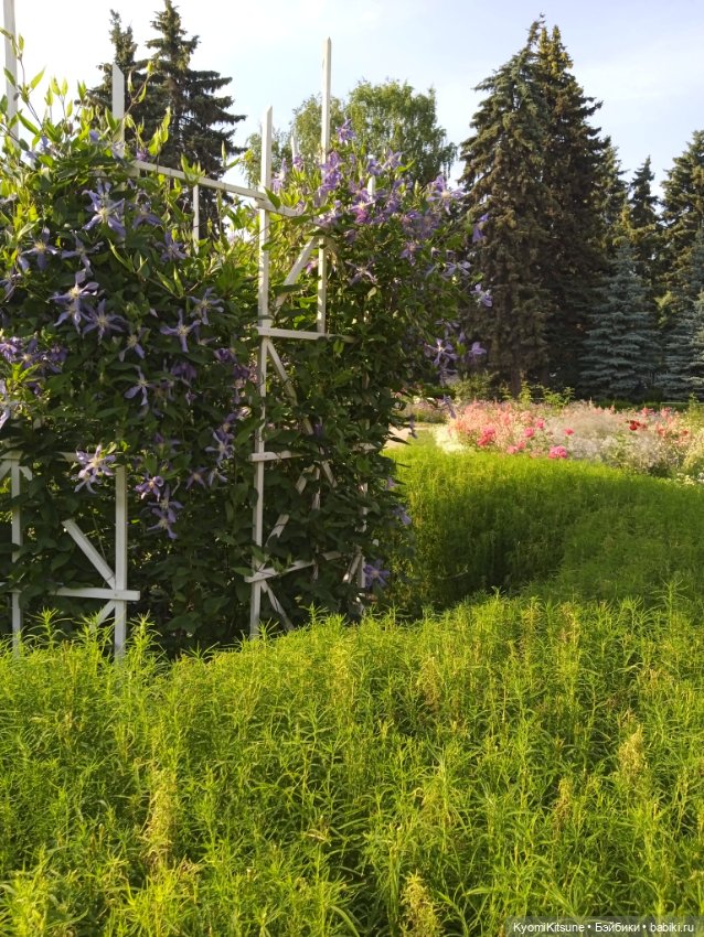 Земные каникулы мистера Спока (фото 7)