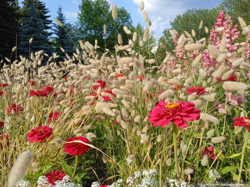 Земные каникулы мистера Спока (фото 10)