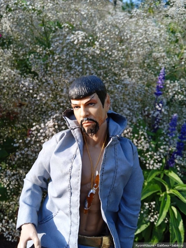 Земные каникулы мистера Спока (фото 9)