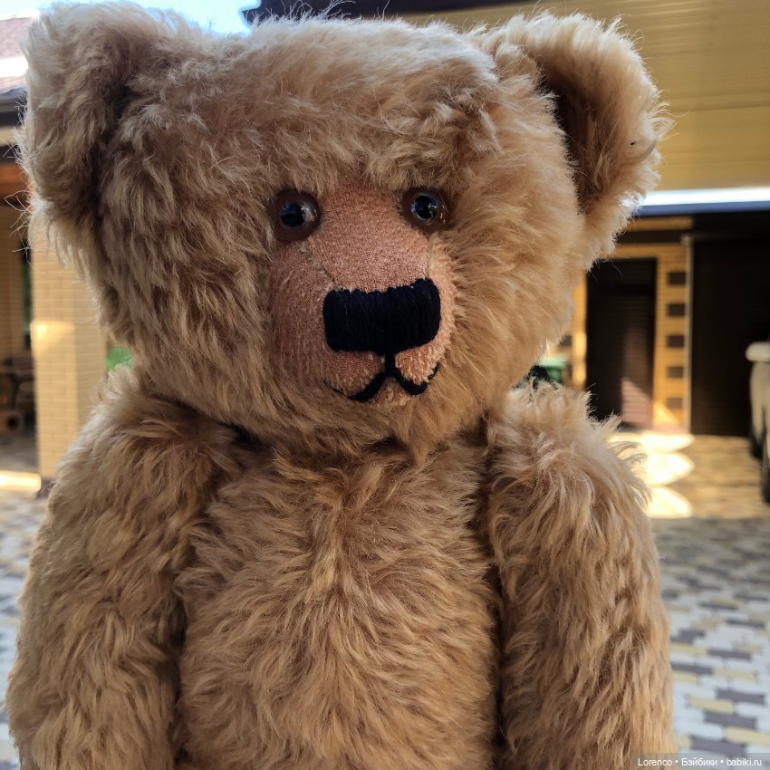 Сяду на пенёк. Новенький мих (фото 7)