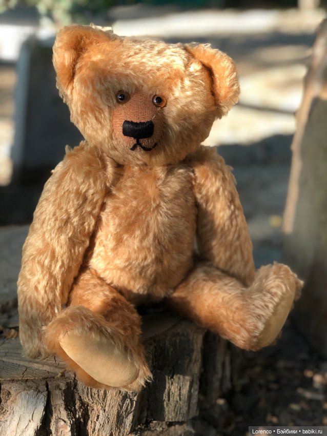 Сяду на пенёк. Новенький мих