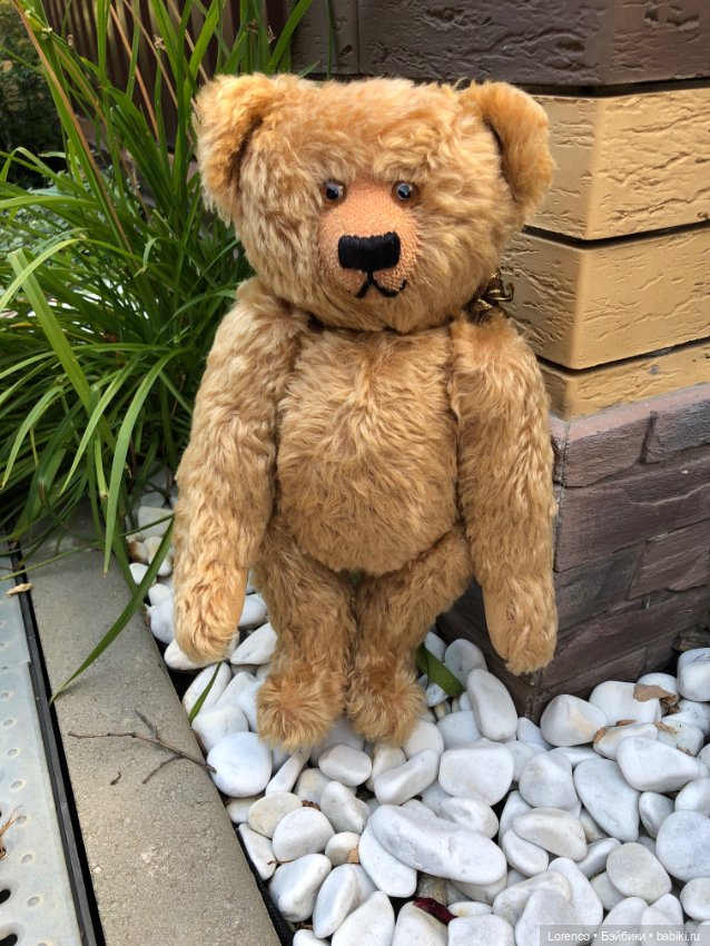 Сяду на пенёк. Новенький мих