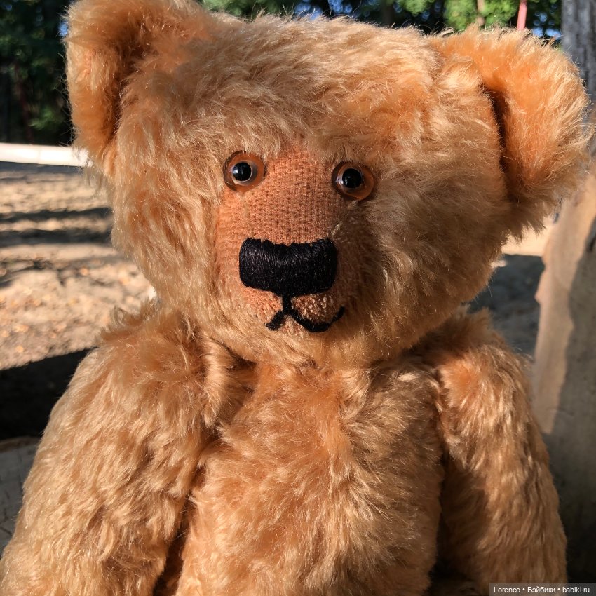 Сяду на пенёк. Новенький мих