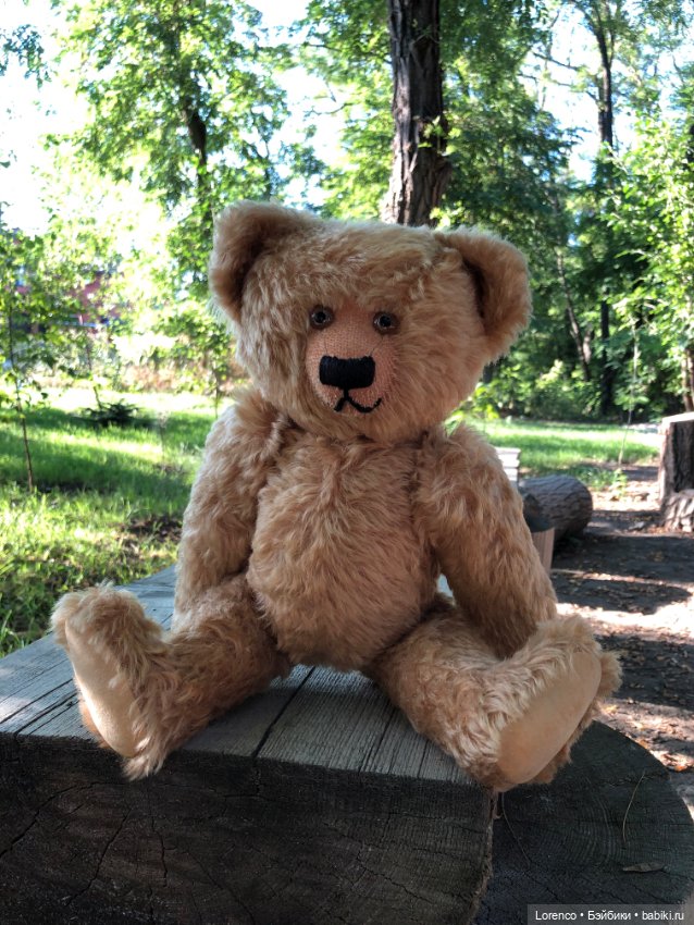 Сяду на пенёк. Новенький мих (фото 8)