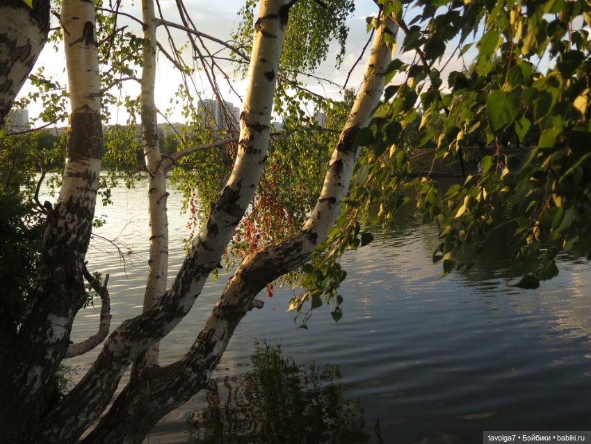 Василиса от Пластмастер и старое Подмосковье (фото 3)