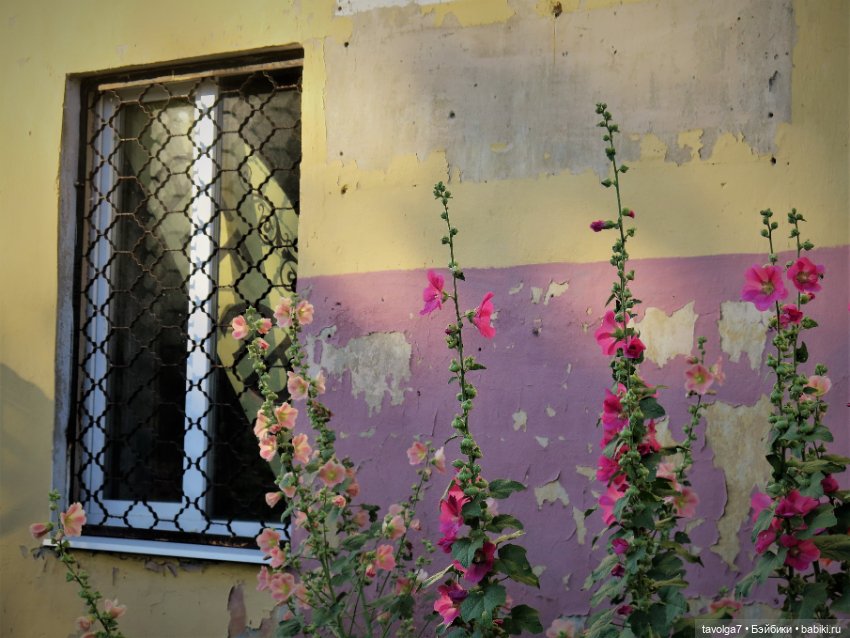 Из Елизаветы в Лизоньку — Куклы Baboliy (Баболи