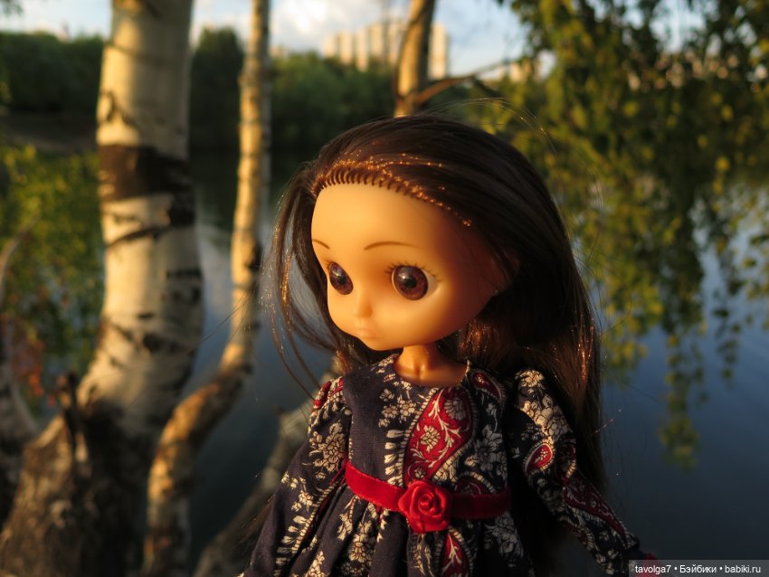 Василиса от Пластмастер и старое Подмосковье (фото 6)