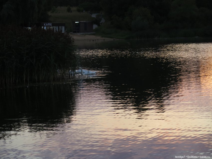 Василиса от Пластмастер и старое Подмосковье
