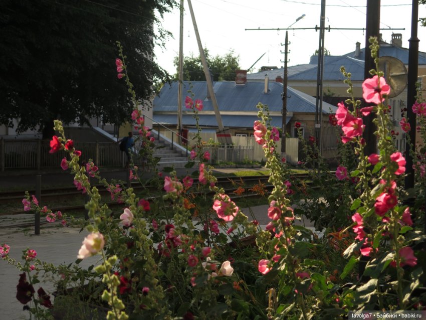 Из Елизаветы в Лизоньку — Куклы Baboliy (Баболи