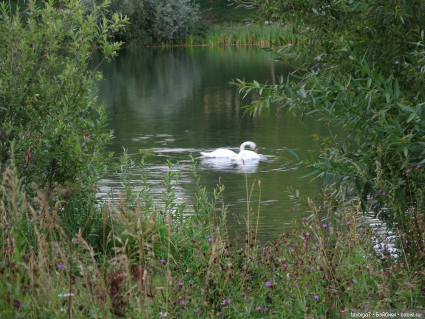 Василиса от Пластмастер и старое Подмосковье
