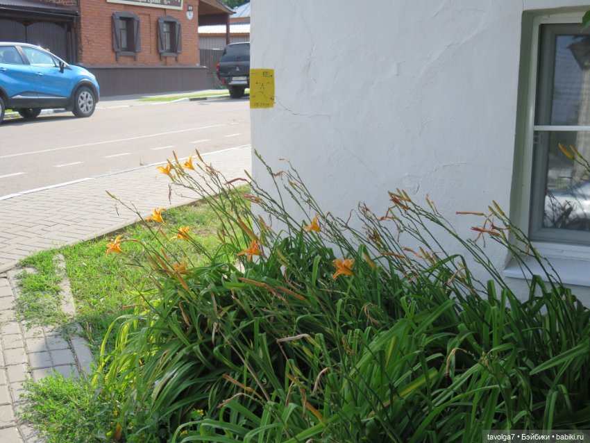 Из Елизаветы в Лизоньку — Куклы Baboliy (Баболи