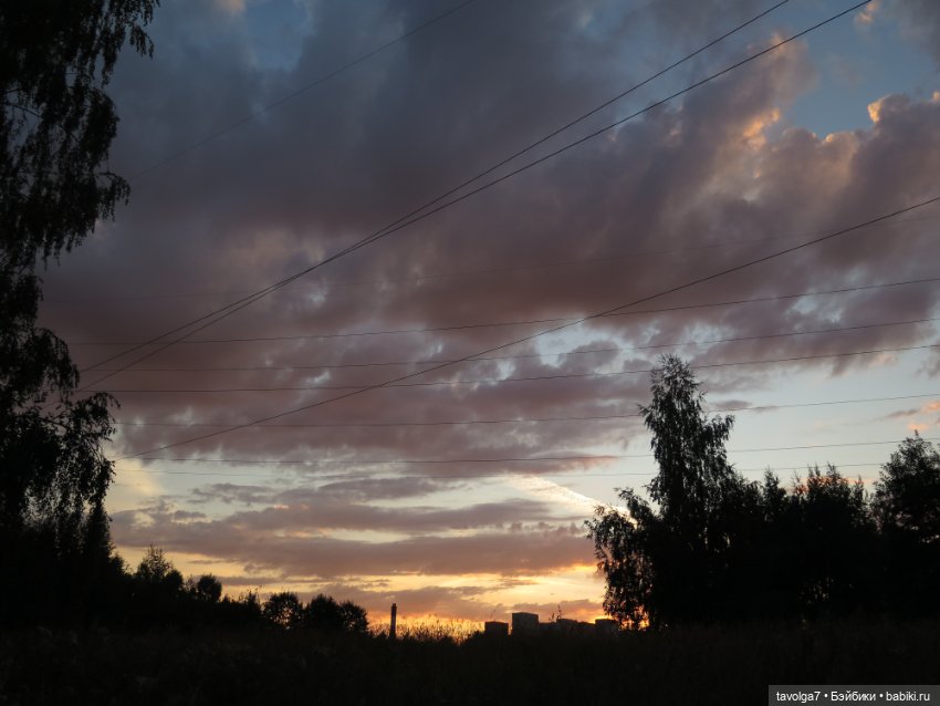 Василиса от Пластмастер и старое Подмосковье