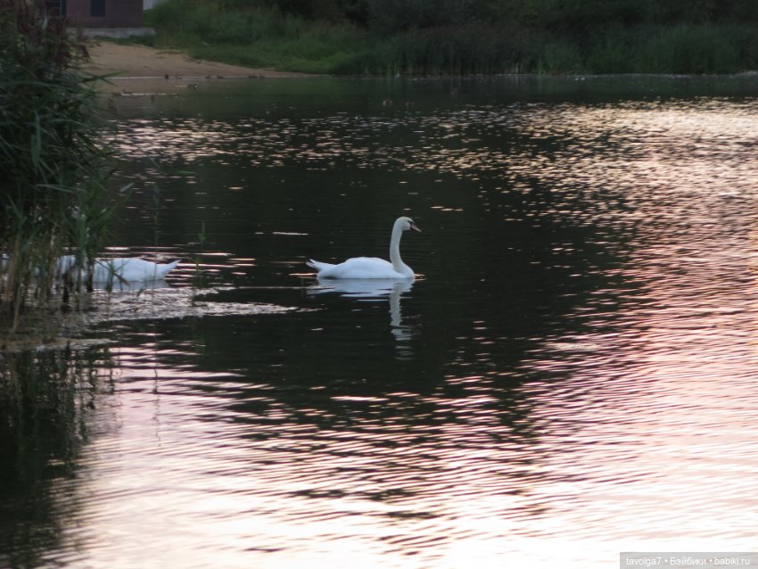 Василиса от Пластмастер и старое Подмосковье