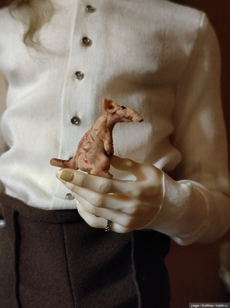 Как мы готовились к DollScar'2022