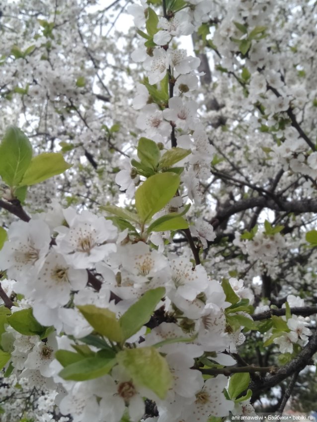 Варвара и Андрей. То что осталось за кадром (фото 7)