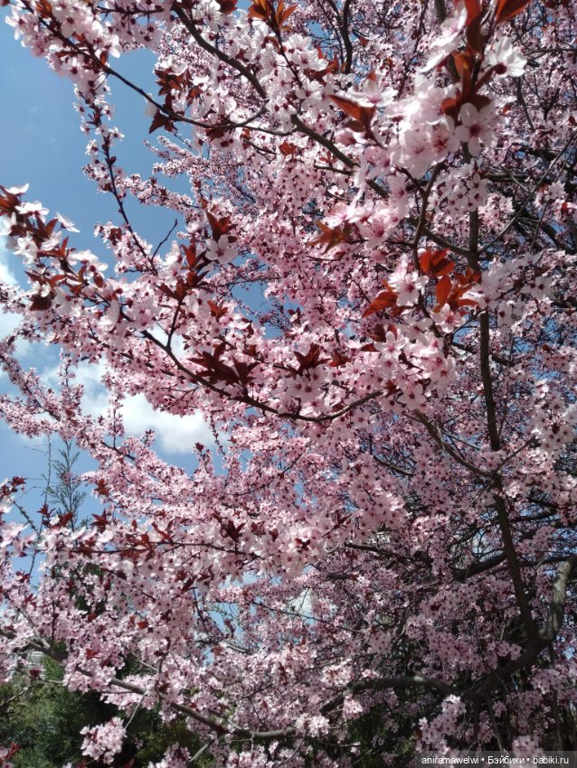 Варвара и Андрей. То что осталось за кадром