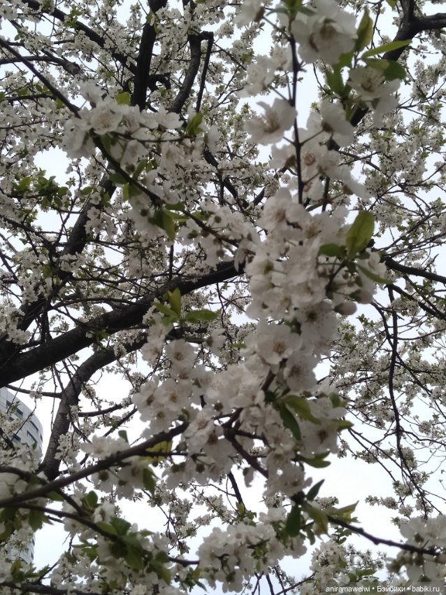 Варвара и Андрей. То что осталось за кадром (фото 6)