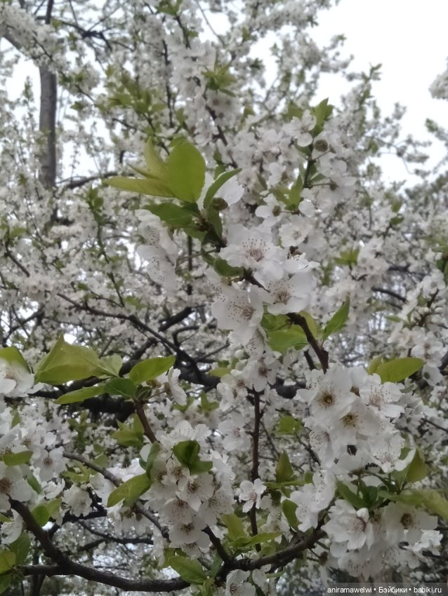 Варвара и Андрей. То что осталось за кадром