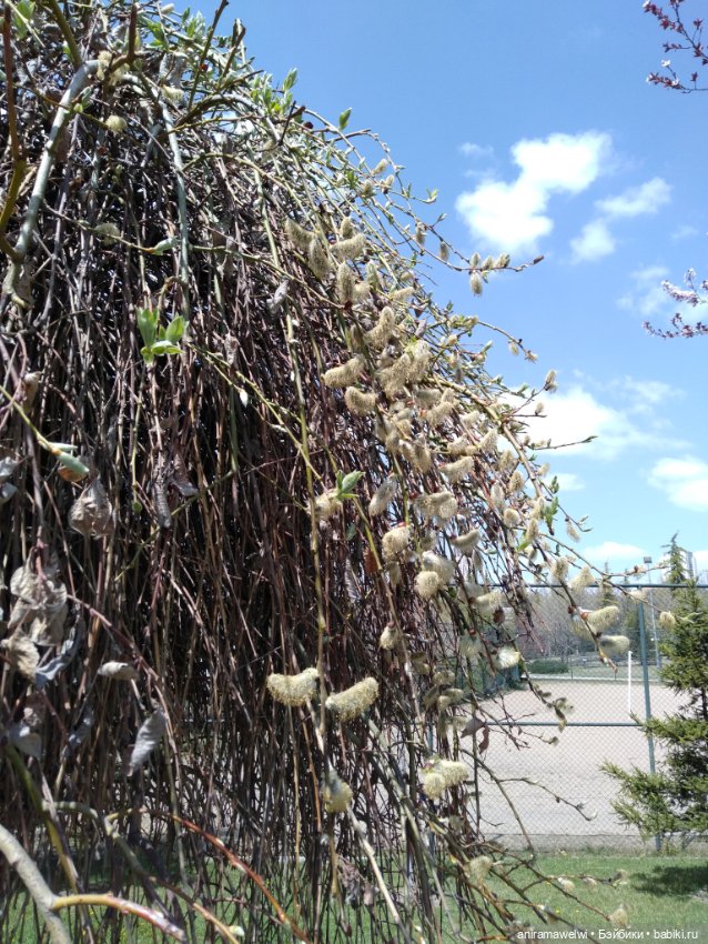 Варвара и Андрей. То что осталось за кадром