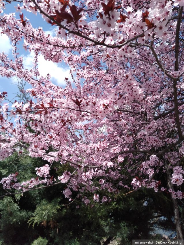 Варвара и Андрей. То что осталось за кадром