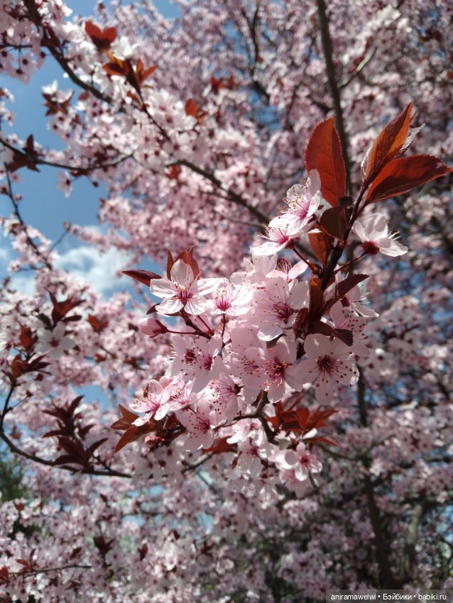 Варвара и Андрей. То что осталось за кадром