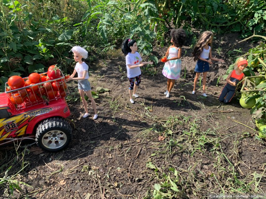 На сборе урожая. Часть 2 — Интересное и необычное: фотоподборки