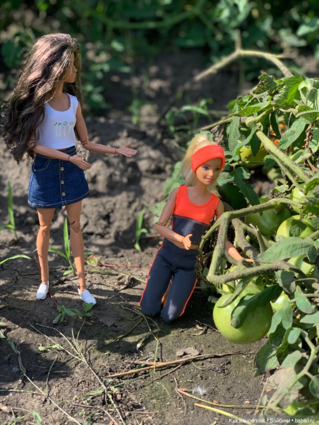 На сборе урожая. Часть 2 — Интересное и необычное: фотоподборки (фото 2)