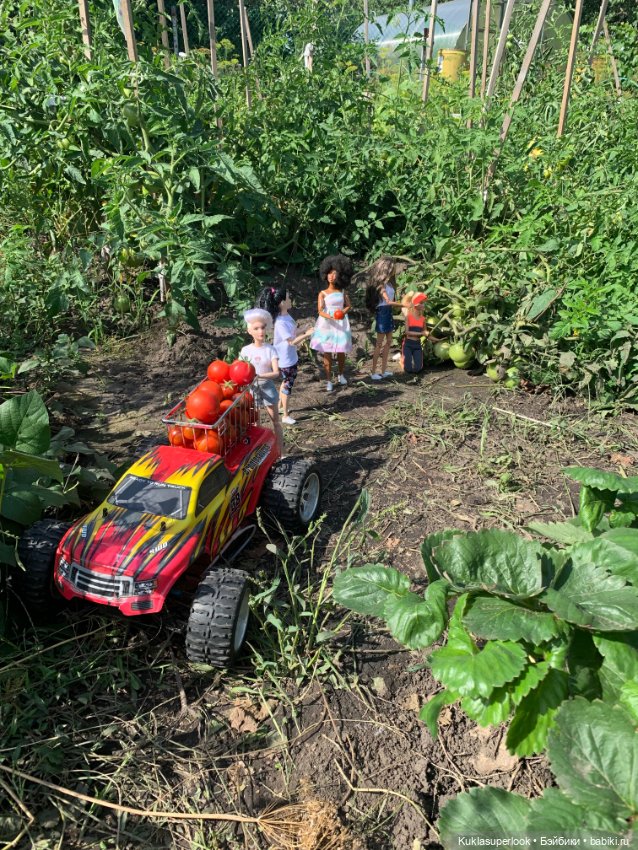 На сборе урожая. Часть 2 — Интересное и необычное: фотоподборки (фото 5)