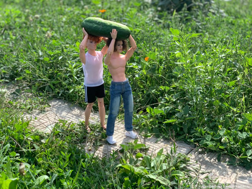 На сборе урожая. Часть 1 — Интересное и необычное: фотоподборки