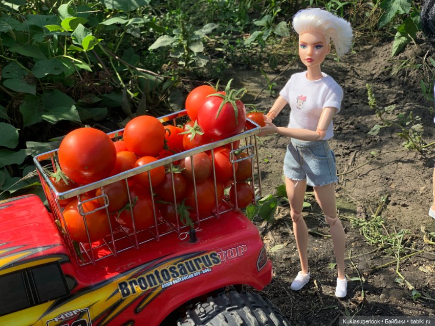 На сборе урожая. Часть 2 — Интересное и необычное: фотоподборки (фото 4)