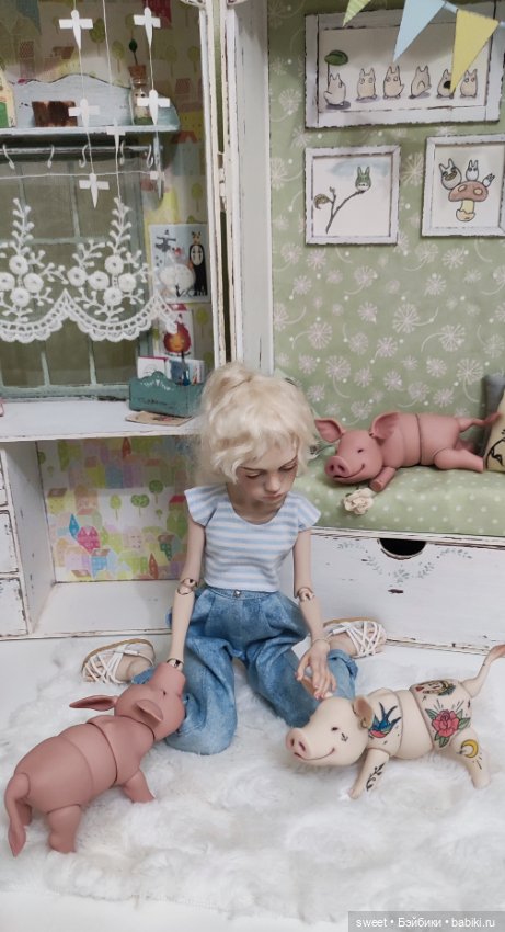 Дрессирую мини-пигов. Дорого