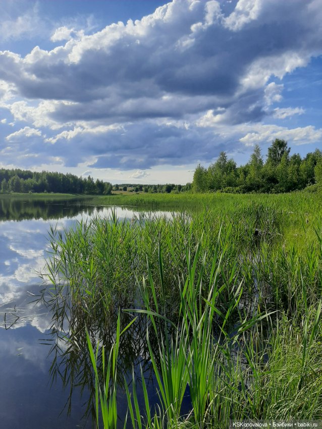 Куклы на каникулах! Или Антошка, Антошка, пойдём ловить рыбешку! (После конкурса)