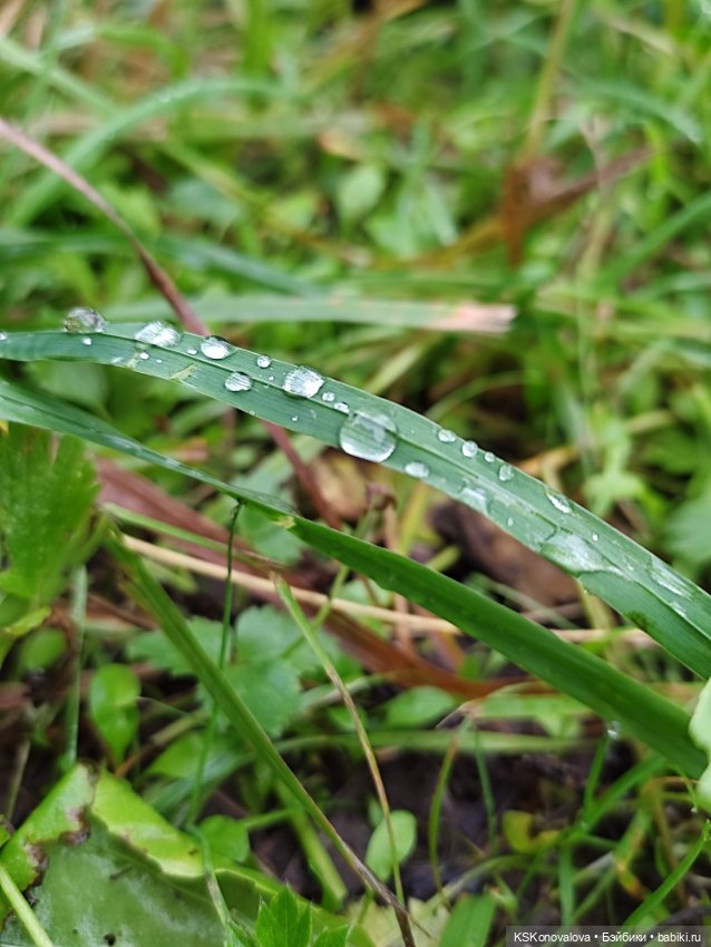 Куклы на каникулах! Или Антошка, Антошка, пойдём ловить рыбешку! (После конкурса)