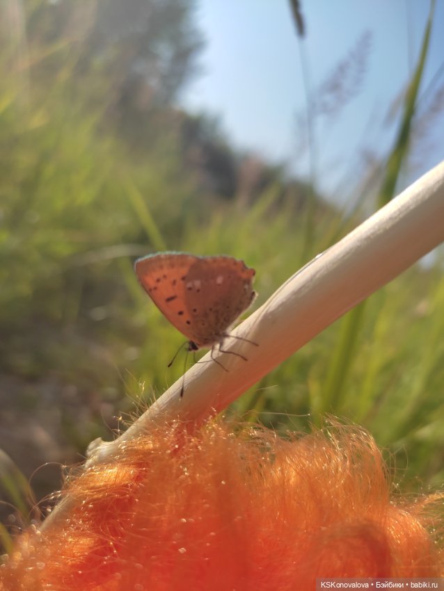 Куклы на каникулах! Или Антошка, Антошка, пойдём ловить рыбешку! (После конкурса)