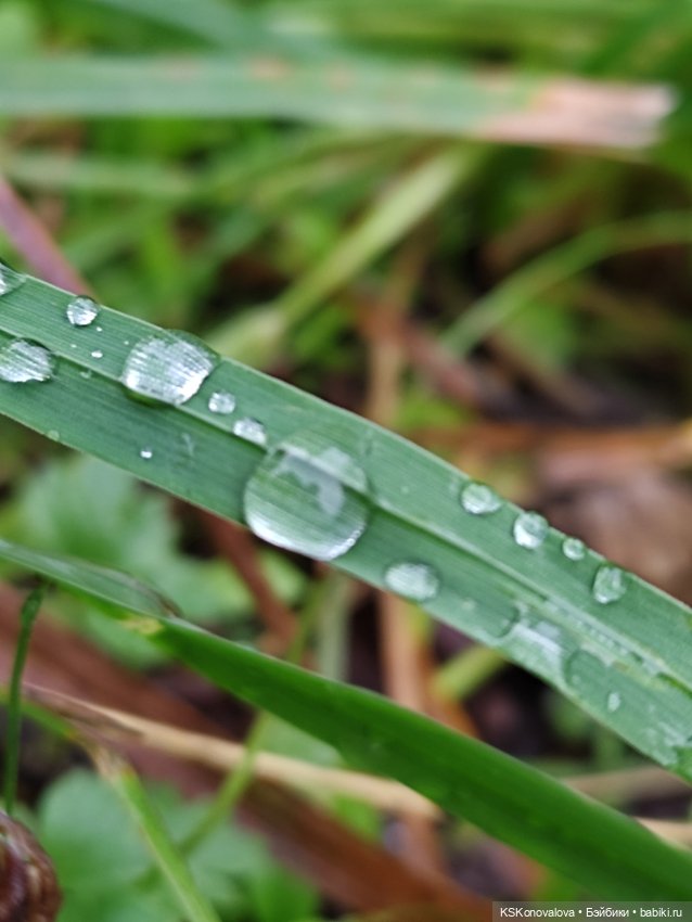 Куклы на каникулах! Или Антошка, Антошка, пойдём ловить рыбешку! (После конкурса)