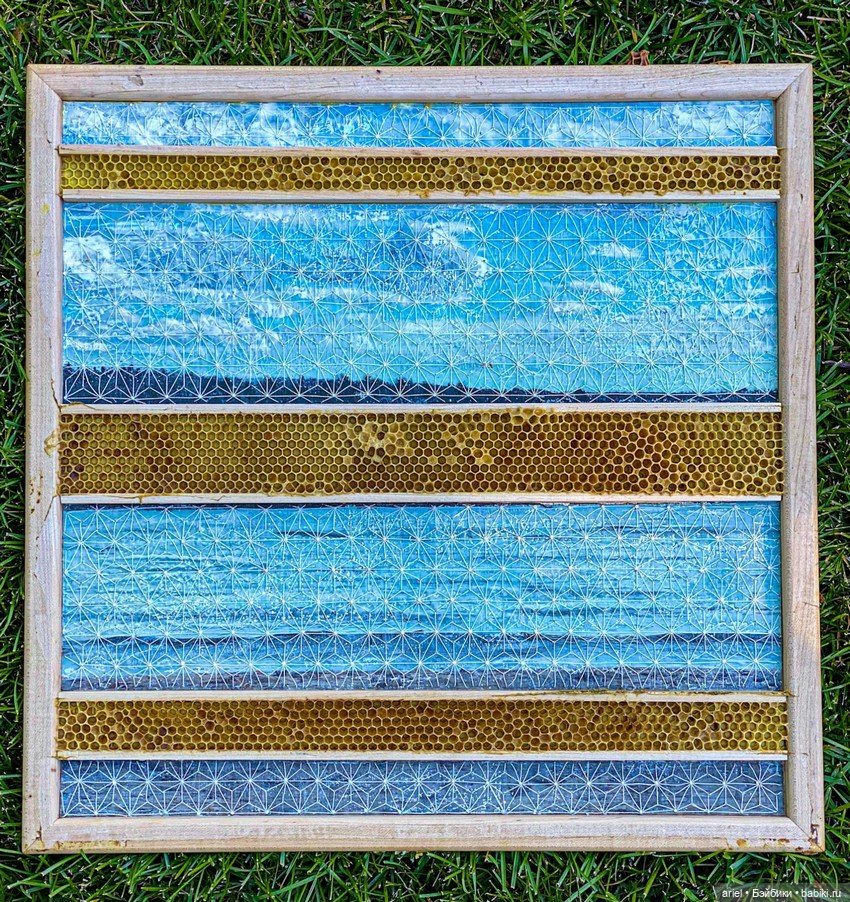 Пчелиные работы от художницы из Онтарио Авы Рот (Ava Roth) (фото 10)