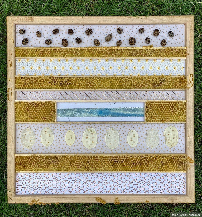 Пчелиные работы от художницы из Онтарио Авы Рот (Ava Roth) (фото 4)