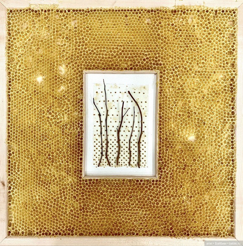 Пчелиные работы от художницы из Онтарио Авы Рот (Ava Roth) (фото 7)