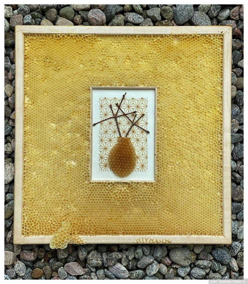 Пчелиные работы от художницы из Онтарио Авы Рот (Ava Roth) (фото 6)