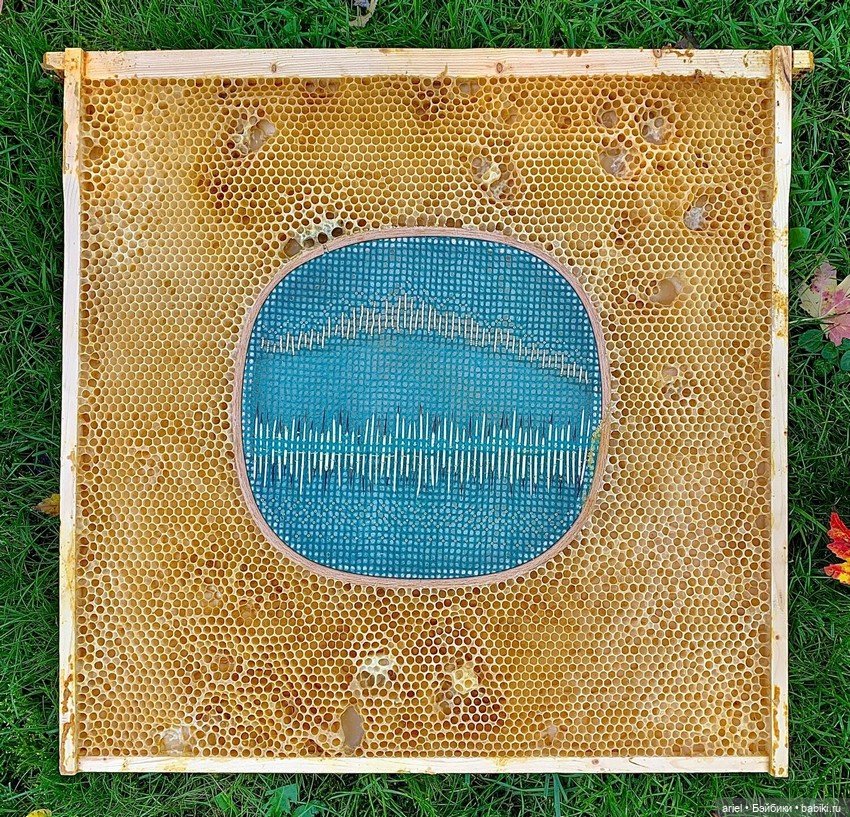 Пчелиные работы от художницы из Онтарио Авы Рот (Ava Roth) (фото 2)