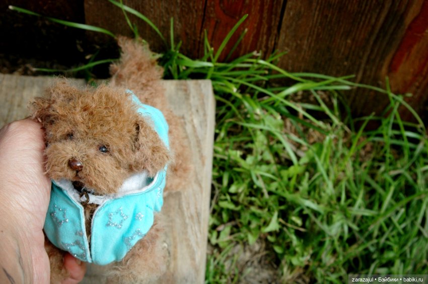 Рыжик - курточка и ошейник готовы (фото 5)