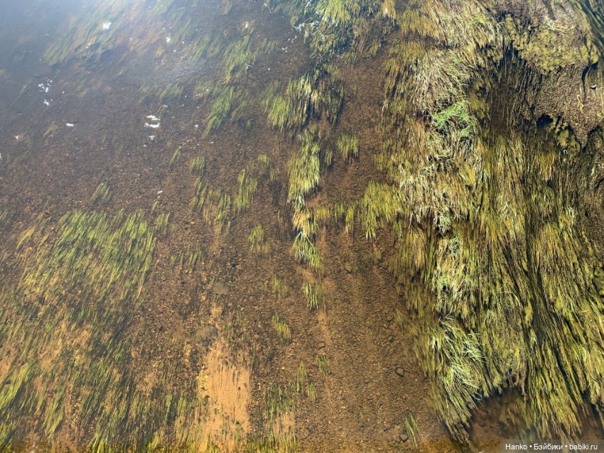 Утренняя прогулка — Куклы Paola Reina (Паола Рейна): новинки (фото 3)