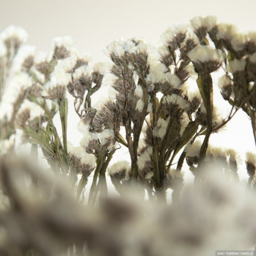 Скульптуры из цветов от Шеннон Клегг (Shannon Clegg) (фото 8)